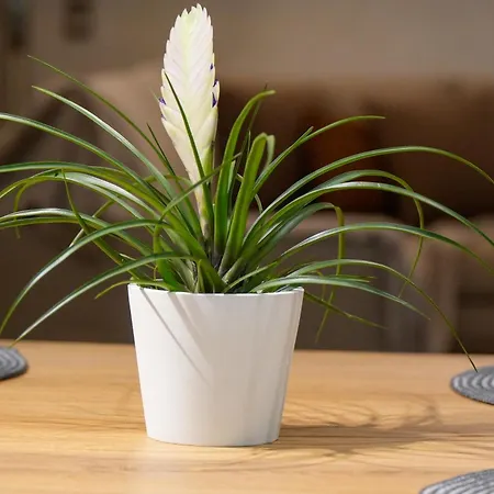 Tems Hub Corfu (city)